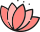 这是一张图片